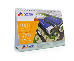 in-lich-de-ban-amiba