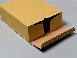 In_hop_boi_carton